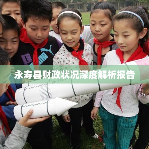 永寿县财政状况深度解析报告