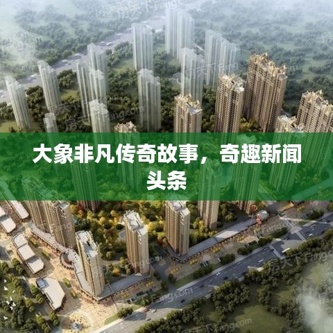 大象非凡传奇故事，奇趣新闻头条
