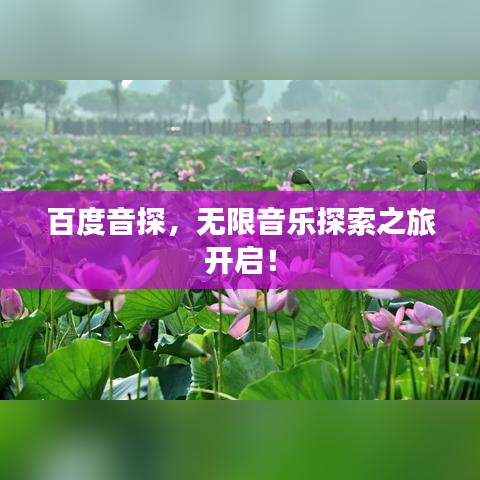 百度音探，无限音乐探索之旅开启！
