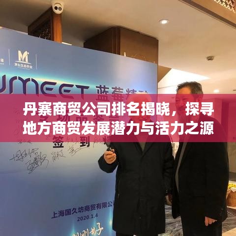 丹寨商贸公司排名揭晓，探寻地方商贸发展潜力与活力之源