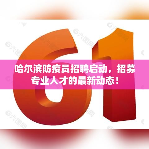 哈尔滨防疫员招聘启动，招募专业人才的最新动态！