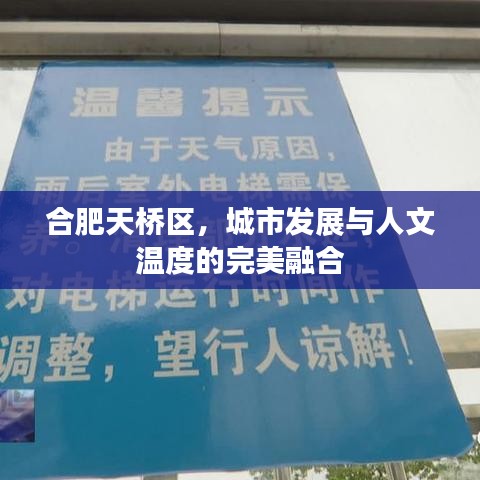 合肥天桥区，城市发展与人文温度的完美融合