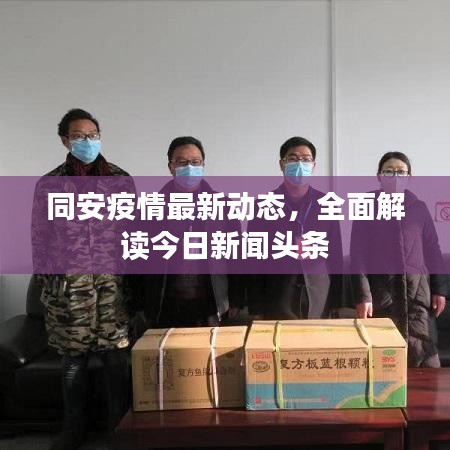 同安疫情最新动态，全面解读今日新闻头条