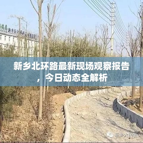 新乡北环路最新现场观察报告，今日动态全解析