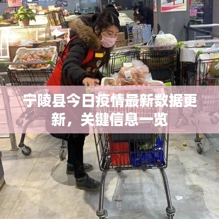 宁陵县今日疫情最新数据更新，关键信息一览
