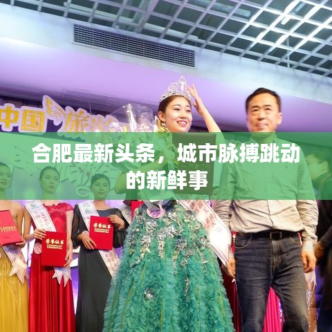 合肥最新头条，城市脉搏跳动的新鲜事