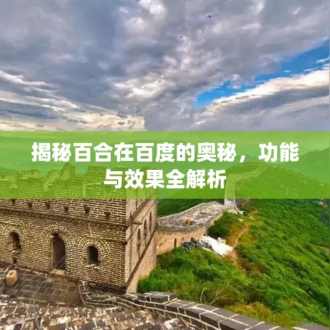 揭秘百合在百度的奥秘，功能与效果全解析