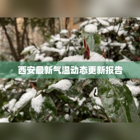 西安最新气温动态更新报告