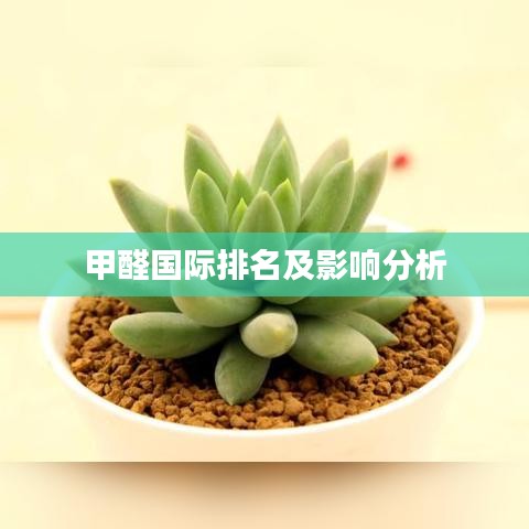 甲醛国际排名及影响分析