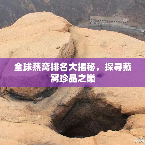 全球燕窝排名大揭秘，探寻燕窝珍品之巅