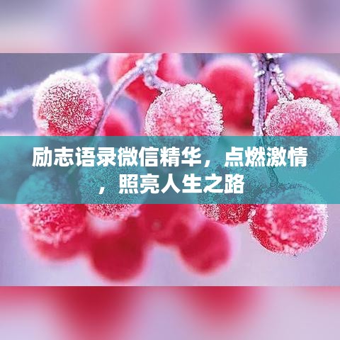 励志语录微信精华，点燃激情，照亮人生之路