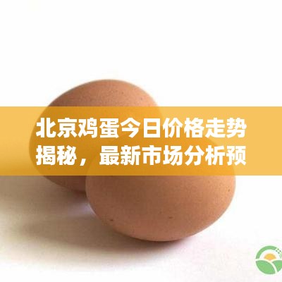 北京鸡蛋今日价格走势揭秘，最新市场分析预测报告出炉！