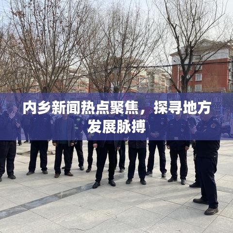 内乡新闻热点聚焦，探寻地方发展脉搏