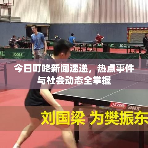 今日叮咚新闻速递，热点事件与社会动态全掌握