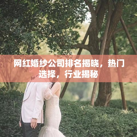 网红婚纱公司排名揭晓，热门选择，行业揭秘