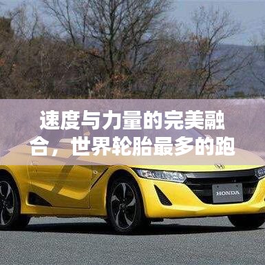 速度与力量的完美融合，世界轮胎最多的跑车排名大揭秘