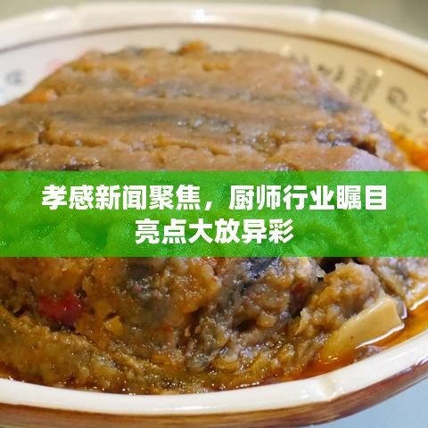孝感新闻聚焦，厨师行业瞩目亮点大放异彩