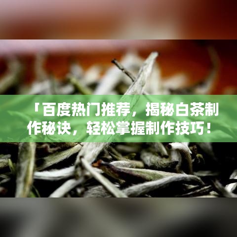 「百度热门推荐，揭秘白茶制作秘诀，轻松掌握制作技巧！」