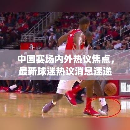 中国赛场内外热议焦点，最新球迷热议消息速递