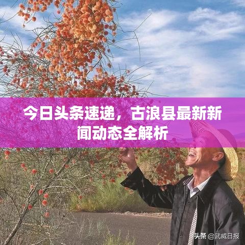 今日头条速递，古浪县最新新闻动态全解析
