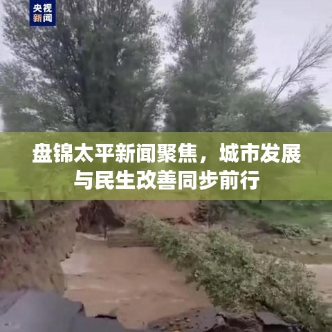 盘锦太平新闻聚焦，城市发展与民生改善同步前行
