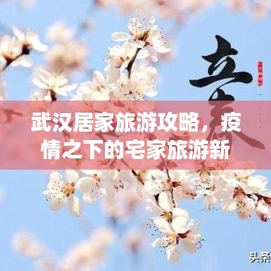 武汉居家旅游攻略，疫情之下的宅家旅游新体验