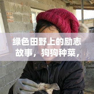绿色田野上的励志故事，狗狗种菜，励志成长之路