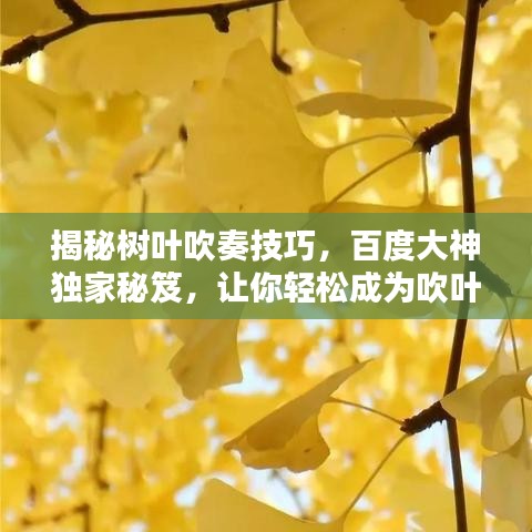 揭秘树叶吹奏技巧，百度大神独家秘笈，让你轻松成为吹叶大师！