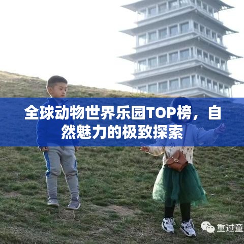 映月读书