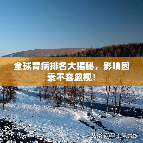 全球胃病排名大揭秘，影响因素不容忽视！