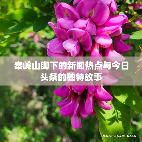 秦岭山脚下的新闻热点与今日头条的独特故事