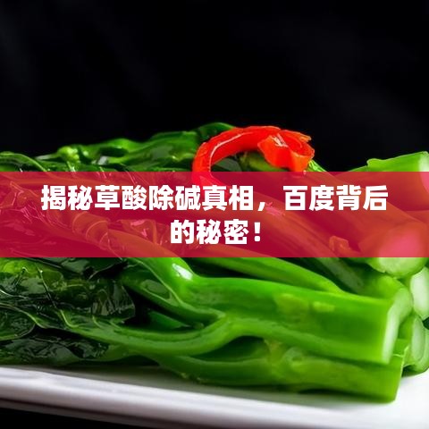 揭秘草酸除碱真相，百度背后的秘密！