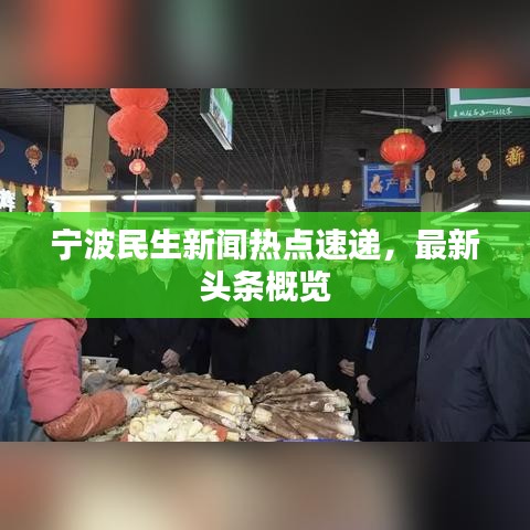 宁波民生新闻热点速递，最新头条概览