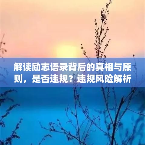 解读励志语录背后的真相与原则，是否违规？违规风险解析！