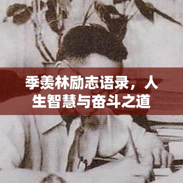 季羡林励志语录，人生智慧与奋斗之道