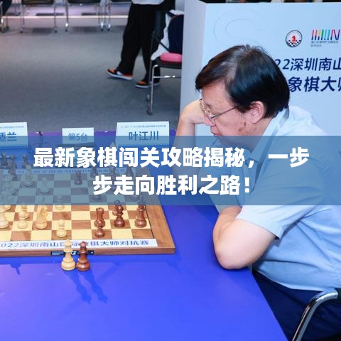 最新象棋闯关攻略揭秘，一步步走向胜利之路！