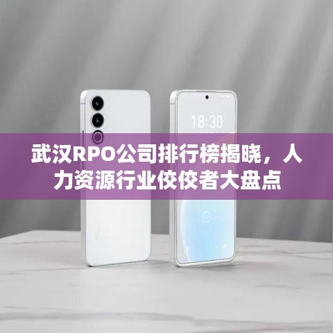 武汉RPO公司排行榜揭晓，人力资源行业佼佼者大盘点