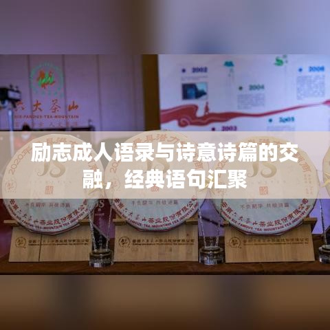 励志成人语录与诗意诗篇的交融，经典语句汇聚