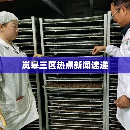 岚皋三区热点新闻速递