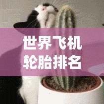 世界飞机轮胎排名揭晓，航空轮胎领域的顶尖强者探索
