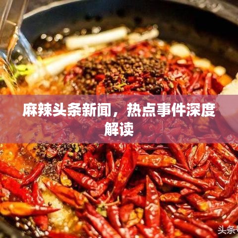 麻辣头条新闻，热点事件深度解读