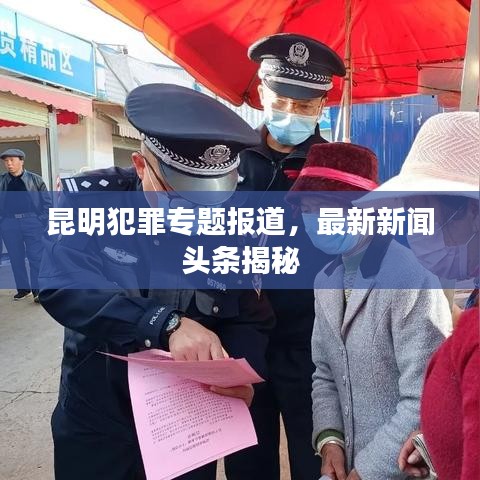 昆明犯罪专题报道，最新新闻头条揭秘