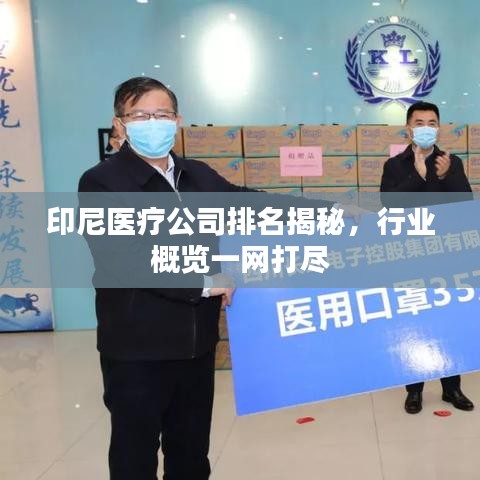 印尼医疗公司排名揭秘，行业概览一网打尽