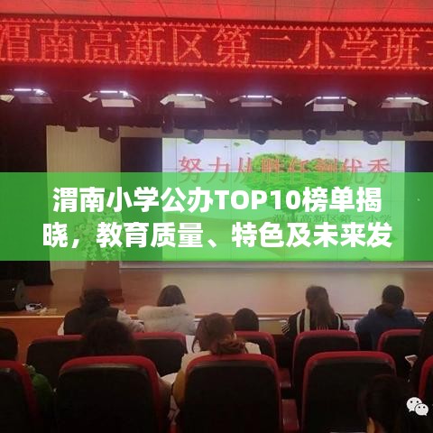 渭南小学公办TOP10榜单揭晓，教育质量、特色及未来发展展望