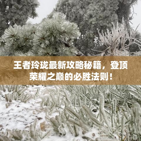 王者玲珑最新攻略秘籍，登顶荣耀之巅的必胜法则！