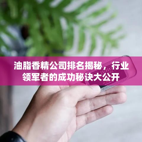 油脂香精公司排名揭秘，行业领军者的成功秘诀大公开