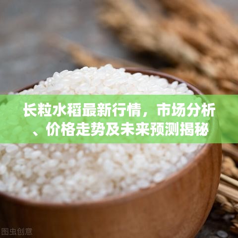 长粒水稻最新行情，市场分析、价格走势及未来预测揭秘