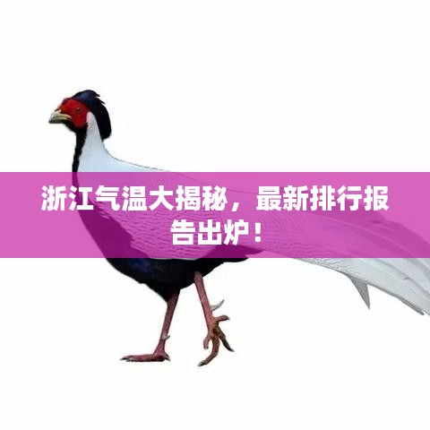 浙江气温大揭秘，最新排行报告出炉！