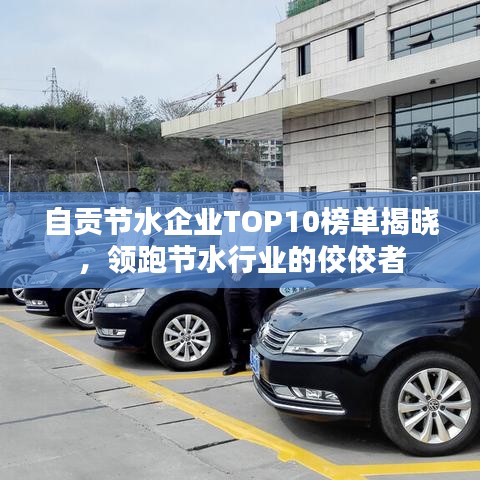 自贡节水企业TOP10榜单揭晓，领跑节水行业的佼佼者