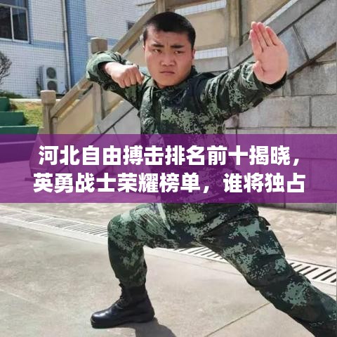 河北自由搏击排名前十揭晓，英勇战士荣耀榜单，谁将独占鳌头？